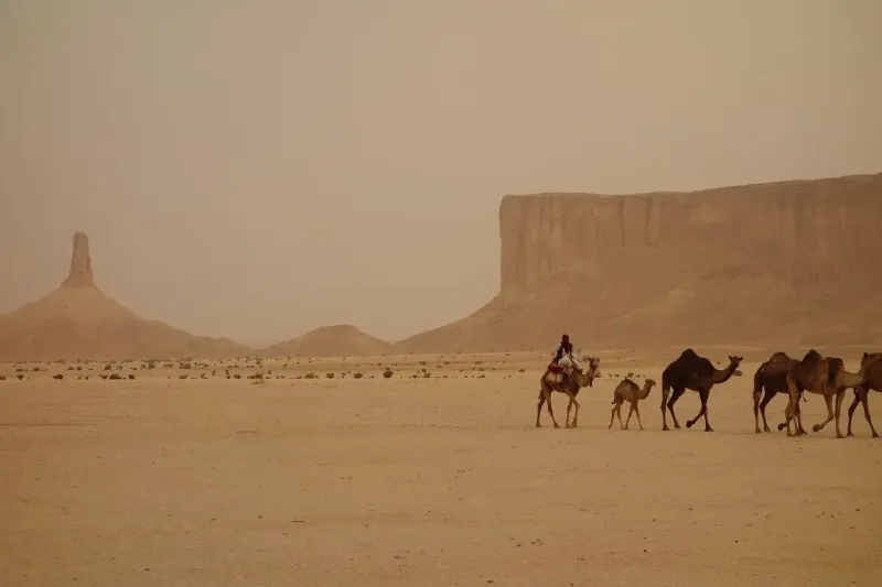 الاستعلام عن تأشيرة السعودية برقم الجواز