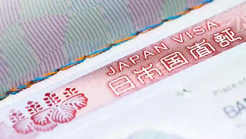 What types of work visas are available for foreign professionals in Japan?